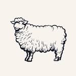 Logotipo Pecorino Bar & Trattoria